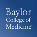 Baylor logo