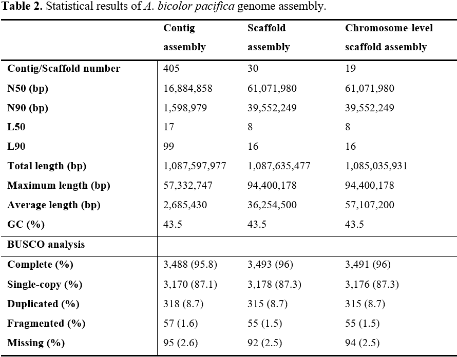 Highly contiguous genome assembly and gene annotation of the short ...